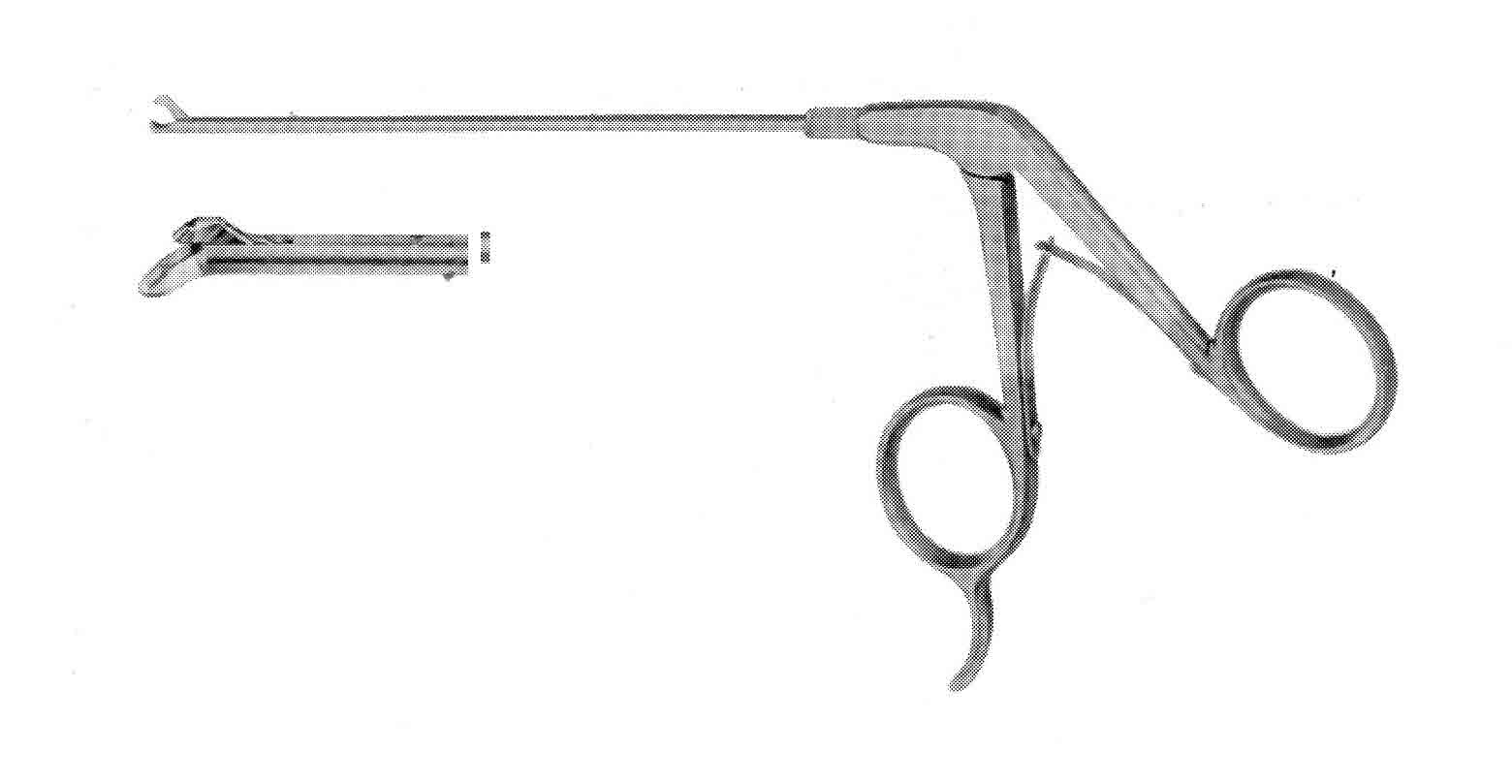 PANÇ RONJUR WİTHOUT SCOOP ÇAP 3.5MM